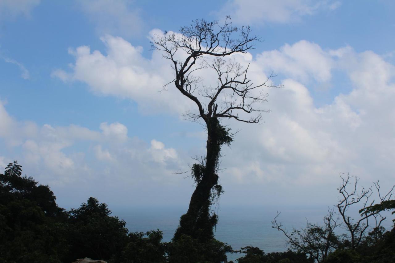 Cham Island Smiles Homestay Tân Hiệ Eksteriør bilde